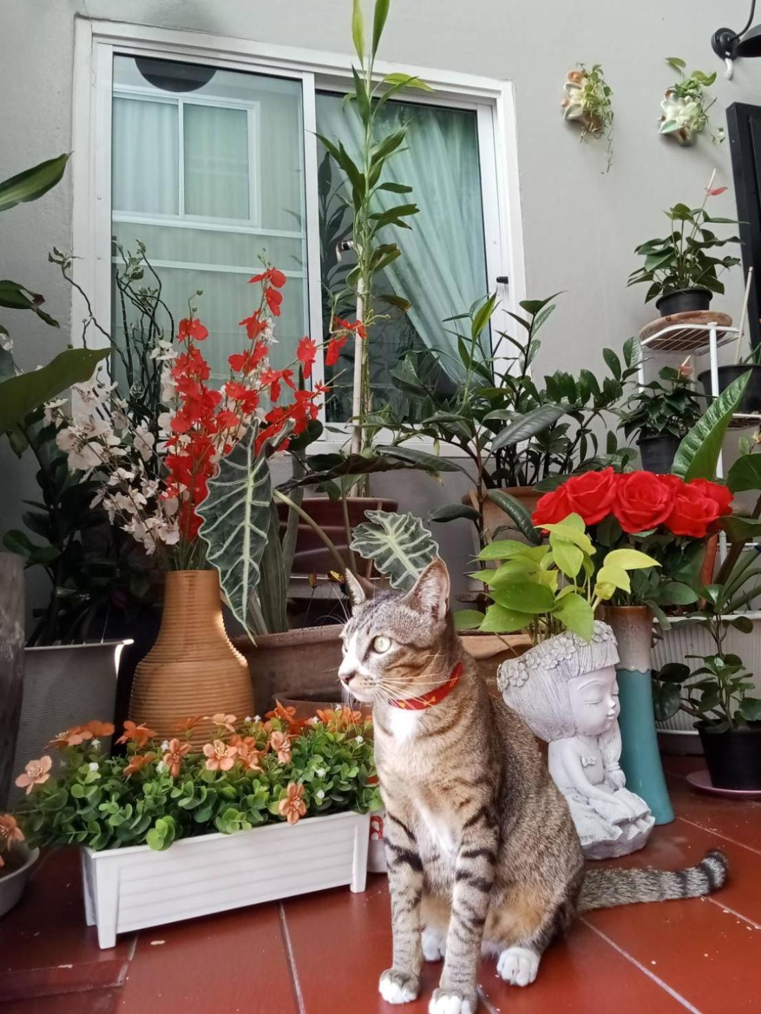 Vlodge House Chiang Mai Zewnętrze zdjęcie